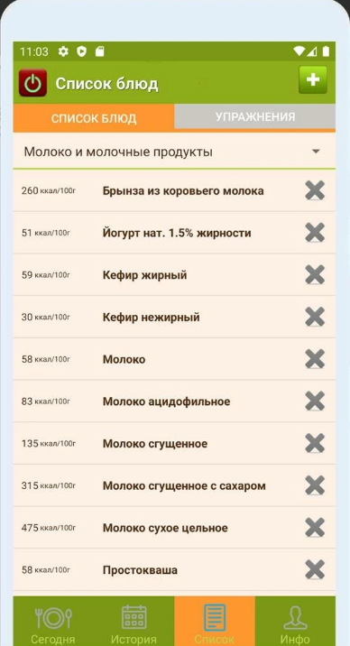 Разработка приложения — Приложение «Счётчик калорий» — скриншот 2