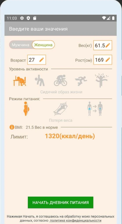 Разработка приложения — Приложение «Счётчик калорий» — скриншот 4